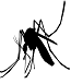 Mosquito-1