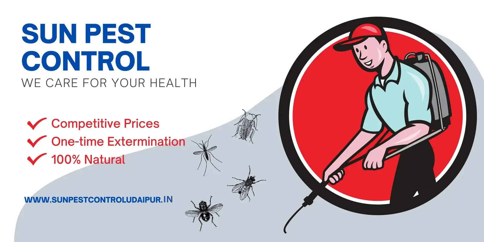 Sunpest Control Udaipur