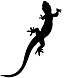 Lizard1