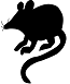 Rodent-1