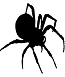 Spider-1