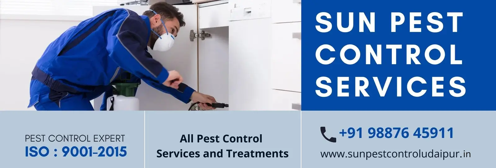 best-pest-control-services-in-udaipur
