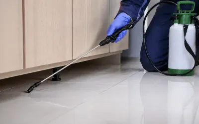 Cockroach Control in Udaipur