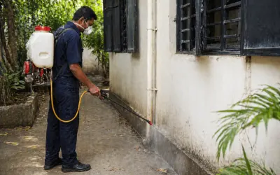 Mosquito Control in Udaipur