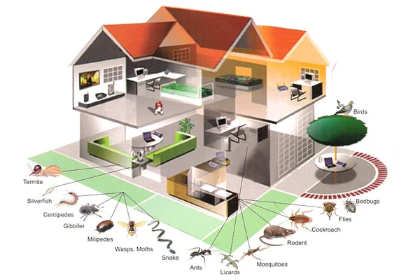 Pest Control Services Provider Udaipur