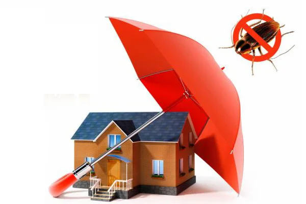 Pest Control Solution Provider in Udaipur