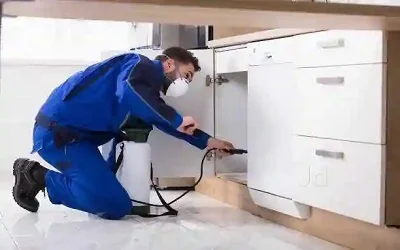 Residential Pest Control in Udaipur